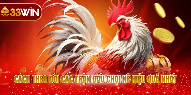 Cách theo dõi các trận đấu chọi kê hiệu quả nhất