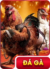 đá gà 33win