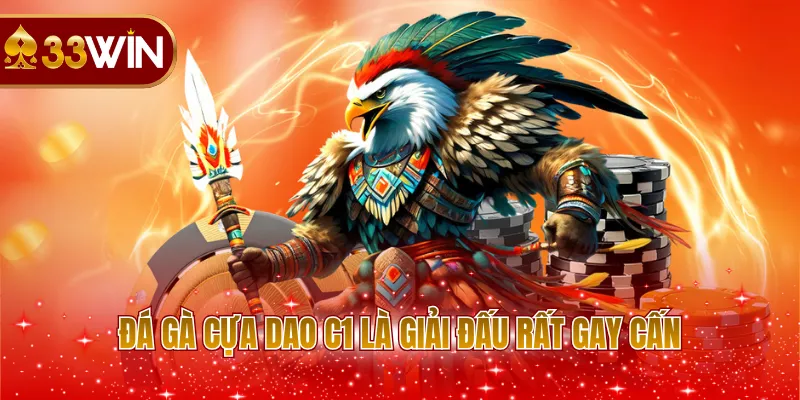 Đá gà cựa dao C1 là giải đấu rất gay cấn